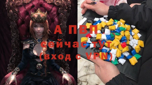 шишки Магадан