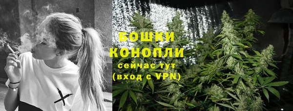 шишки Магадан
