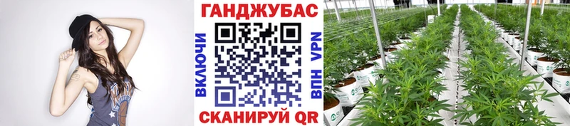 darknet официальный сайт  Перевоз  Марихуана MAZAR  где купить наркотик  omg ТОР 